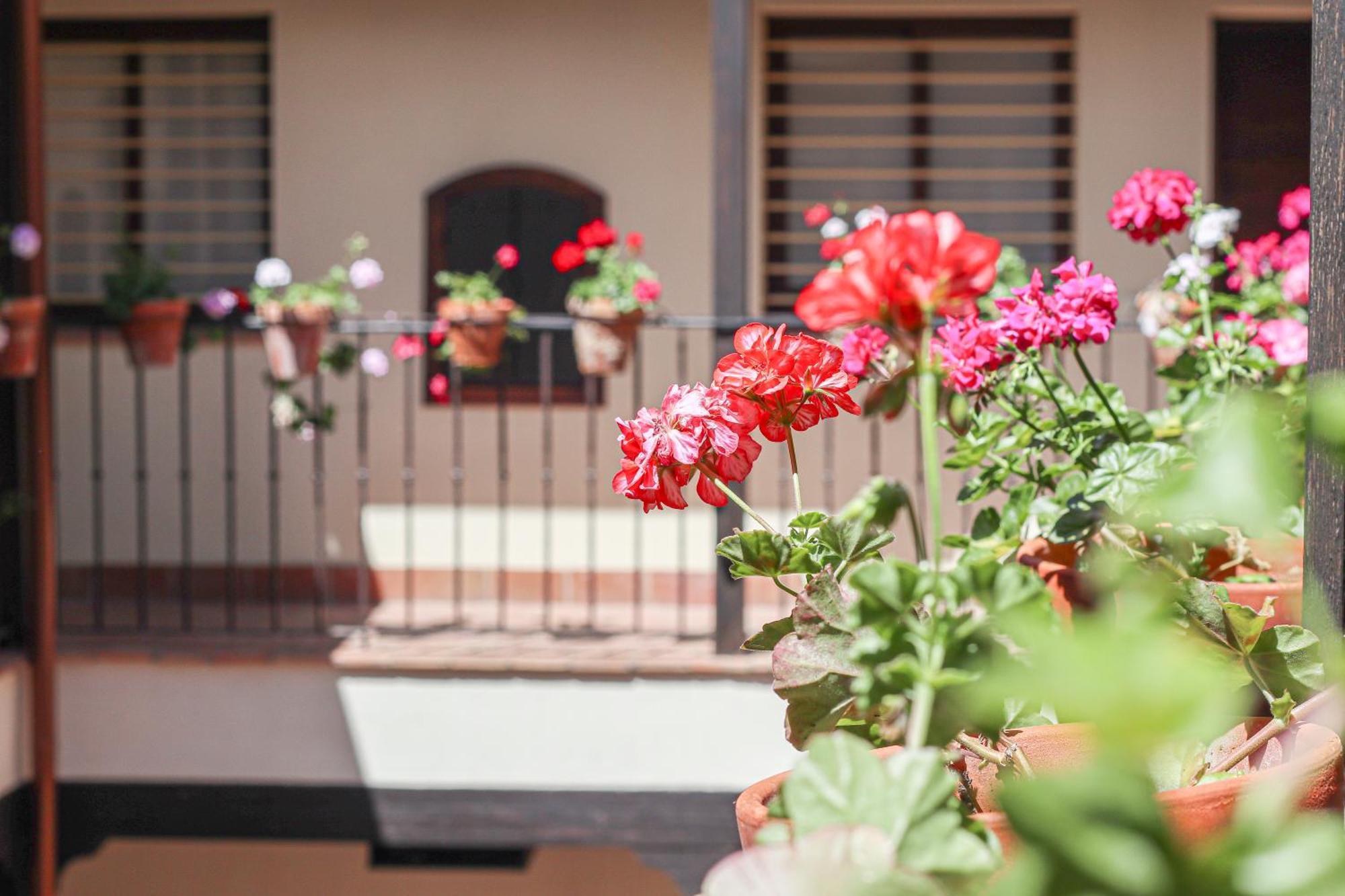 Charming In The Center - 10m Walk Isla Magica Appartement *